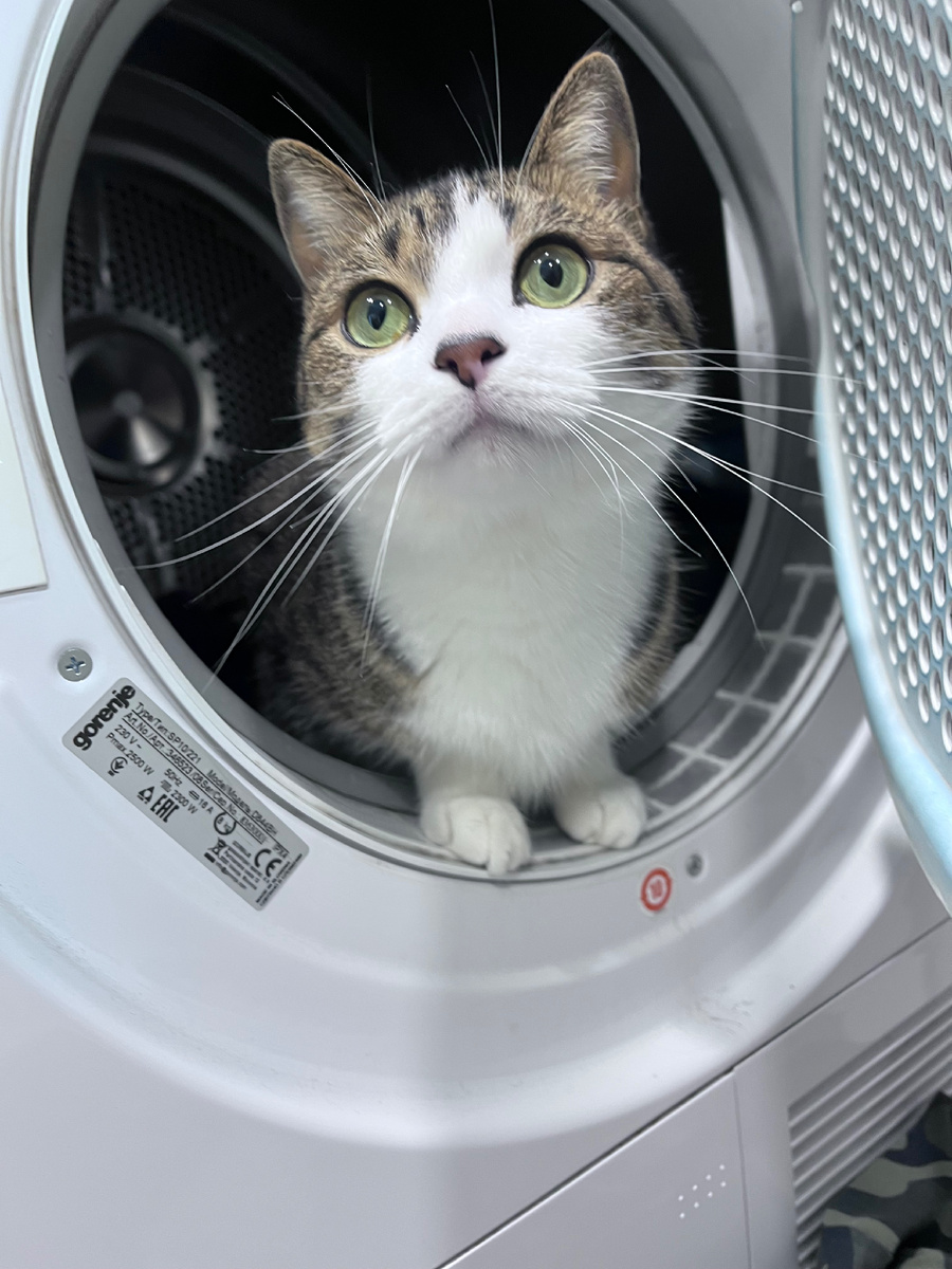 Мишель и ее дом ) фото автора 