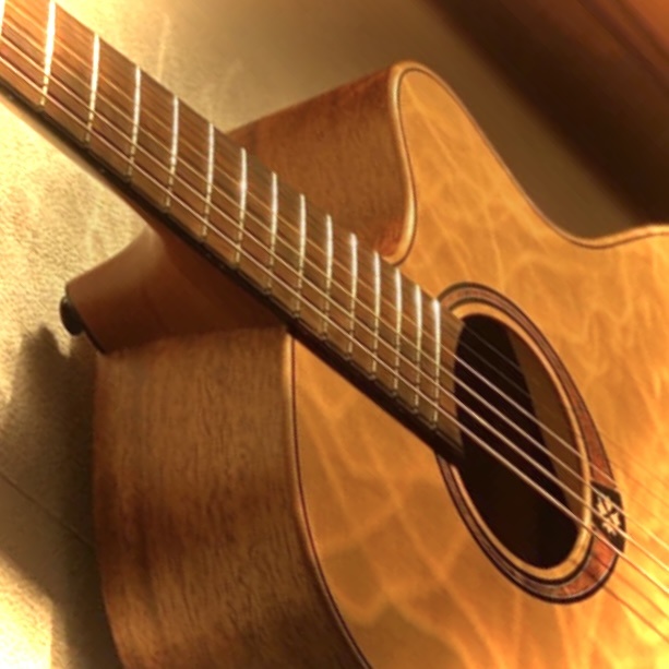 Блестящие полированные ладовые порожки. Фото без фильтров.