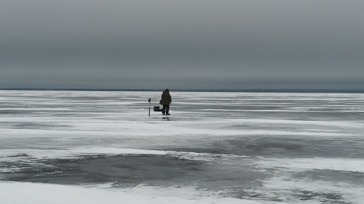 куда податься ? фото рыбалка в поволжье. дзен канал
