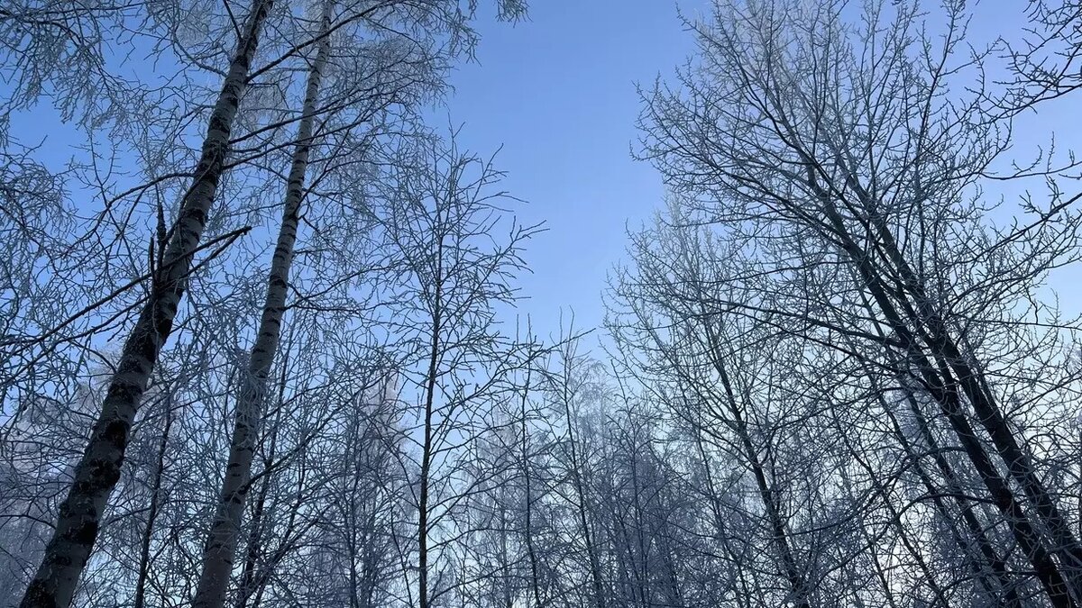     Источник: 1MI