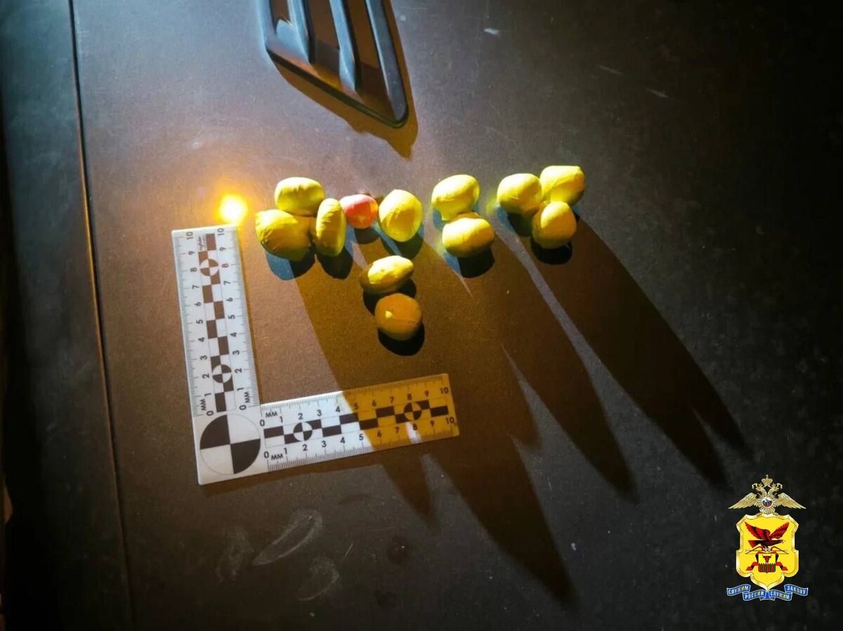    Фото: Пресс-служба УМВД России по Забайкальскому краю