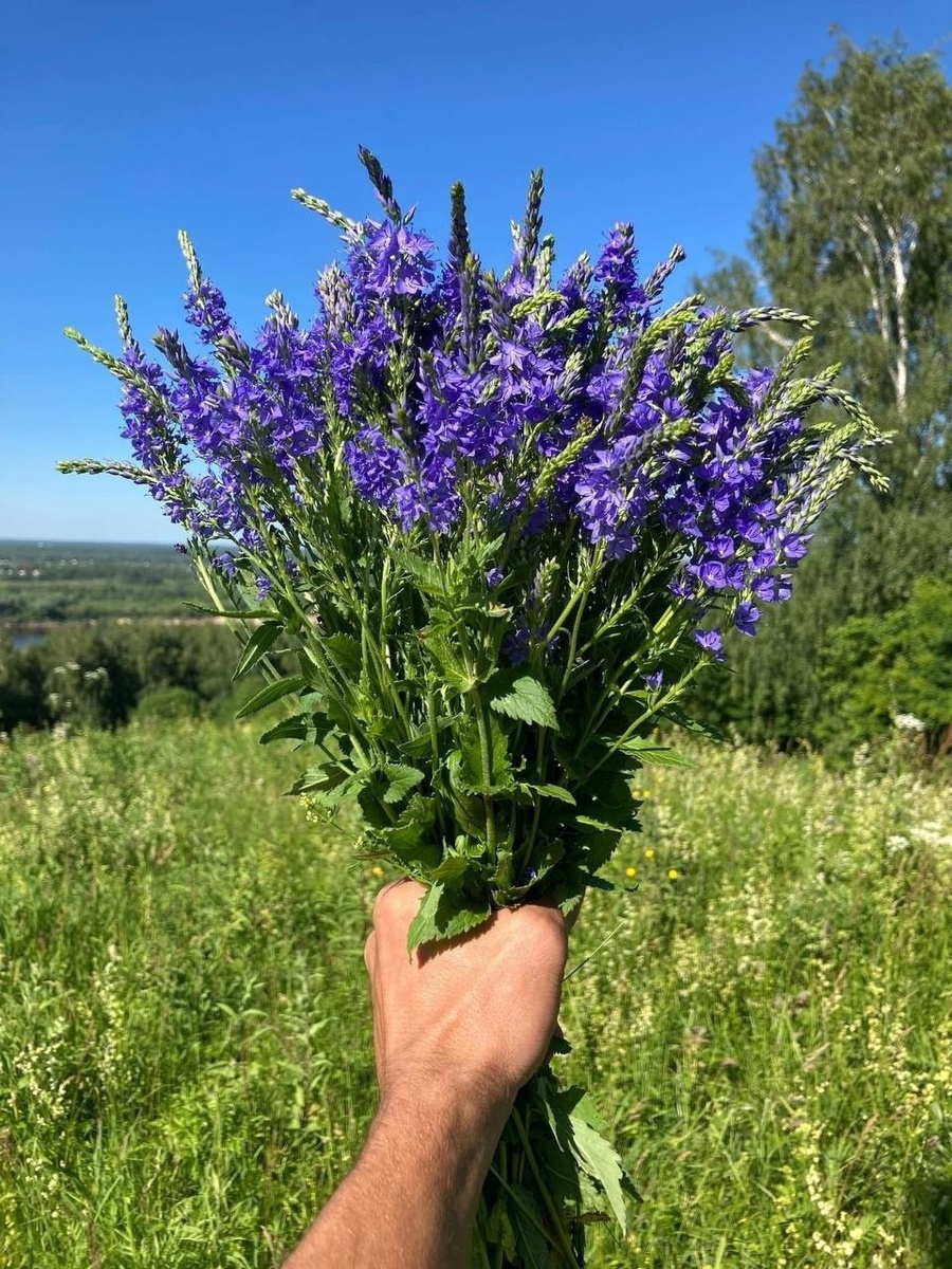 после свадьбы молодые въехали в новый дом