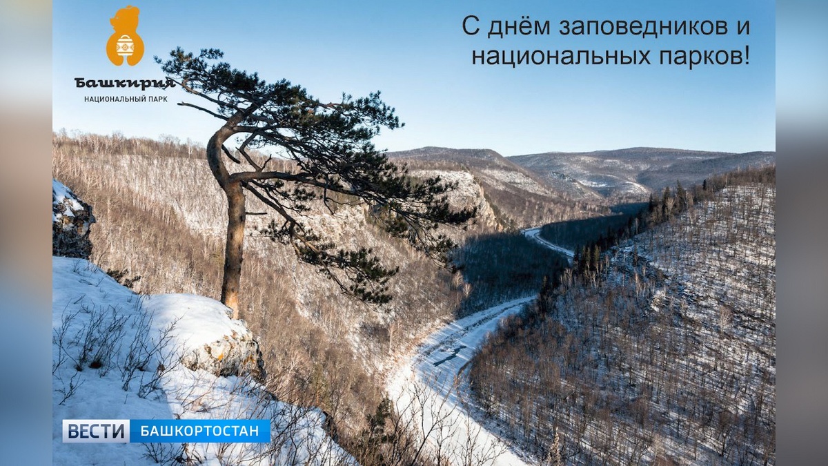    11 января в России отмечают День заповедников и нацпарков