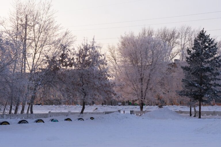    Фото: unsplash.com/Kate Ibragimova Илья Федоров