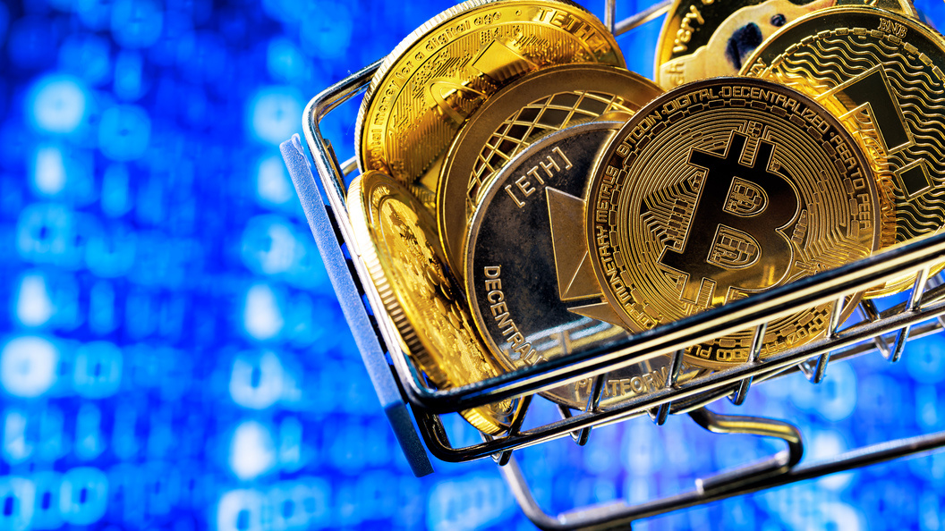    Фото: Sergey Elagin/Business Online/Globallookpress