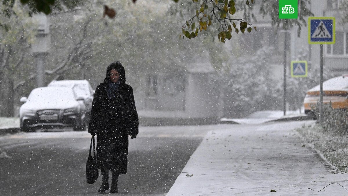    Фото: РИА Новости © 2025, Пелагия Тихонова