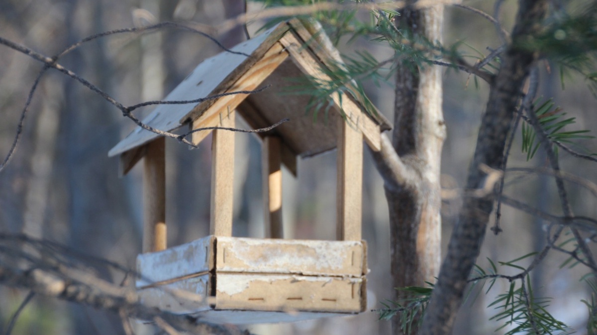     Источник: 1MI