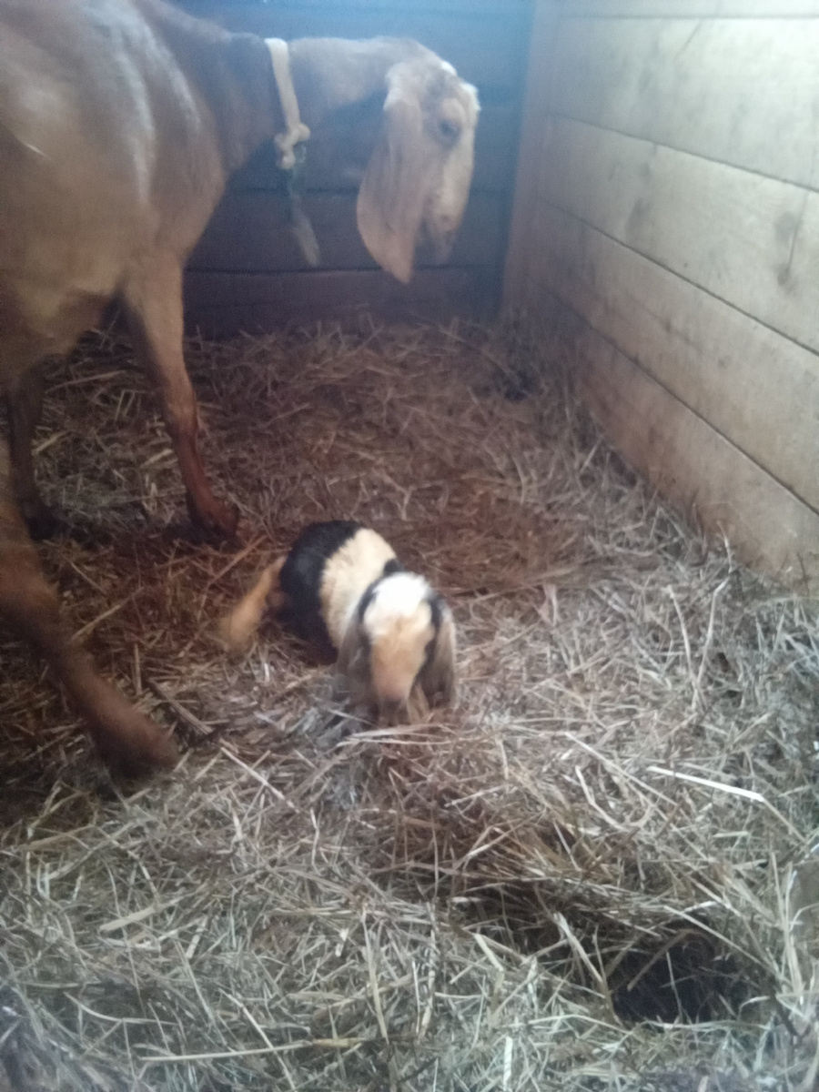 Фото автора.