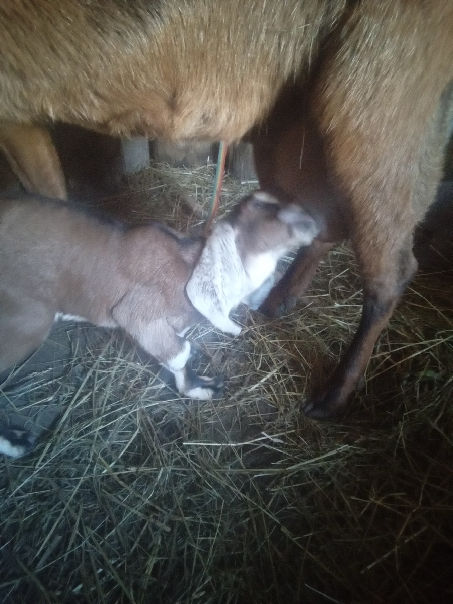 Фото автора.