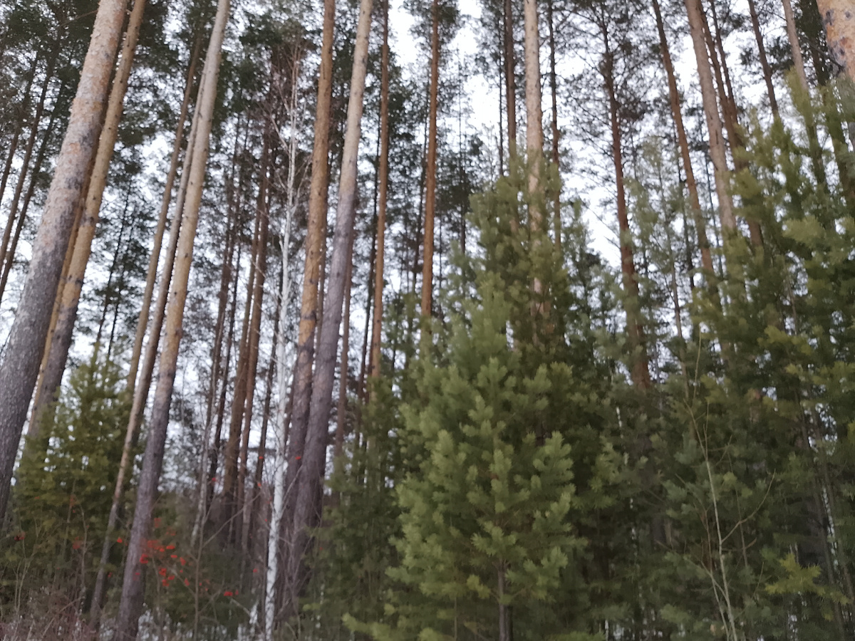 Фотографии все мои. (Говорят, что надо писать, откуда они). 