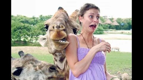 Картинка из Интернета 