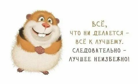 Картинка из Интернета 