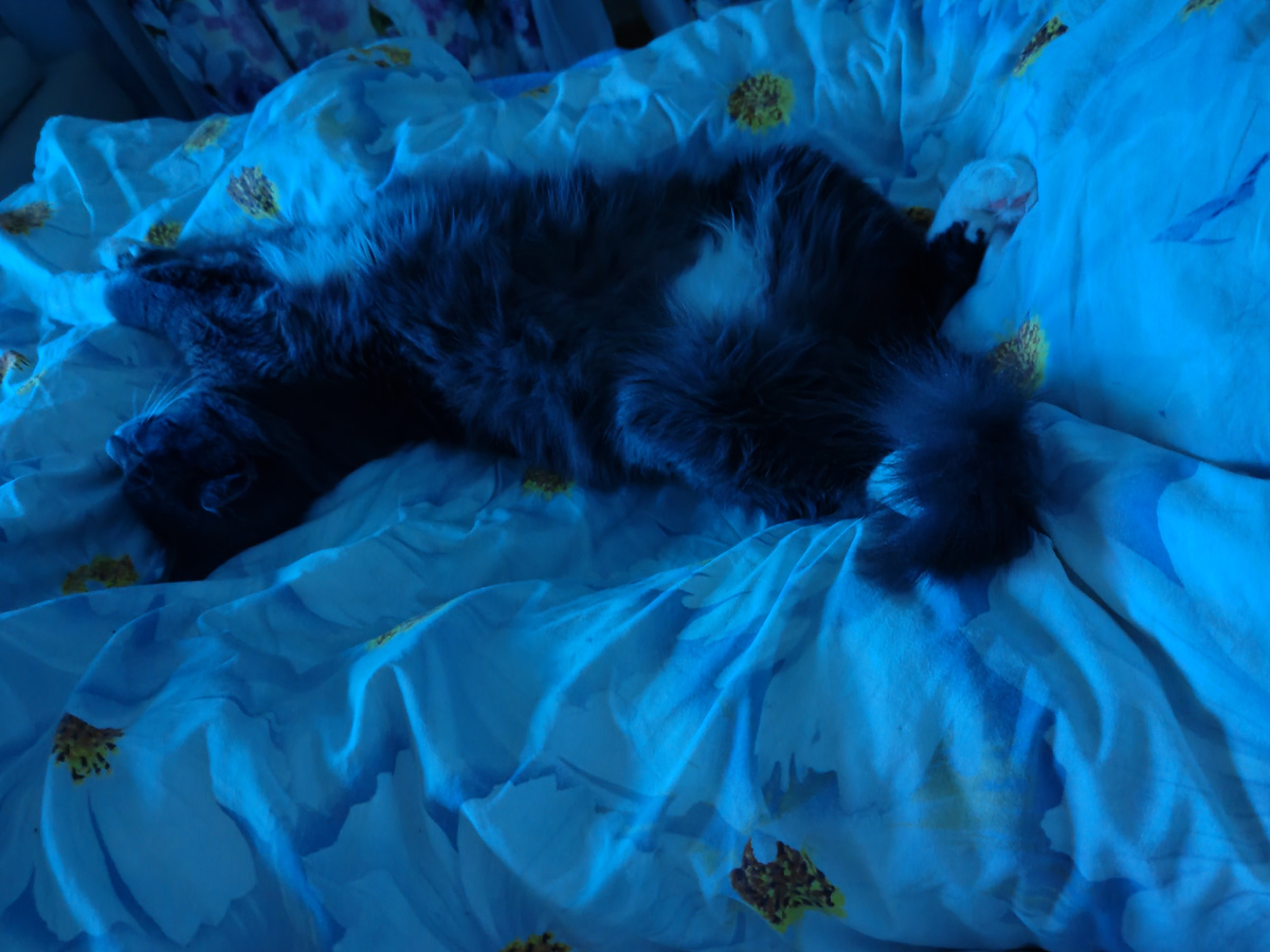 Фото автора канала.