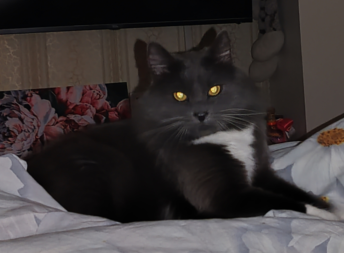 Фото автора канала. 