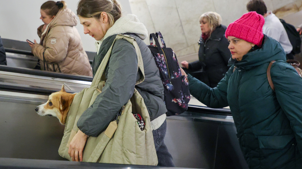    Belkin Alexey/news.ru/Globallookpress