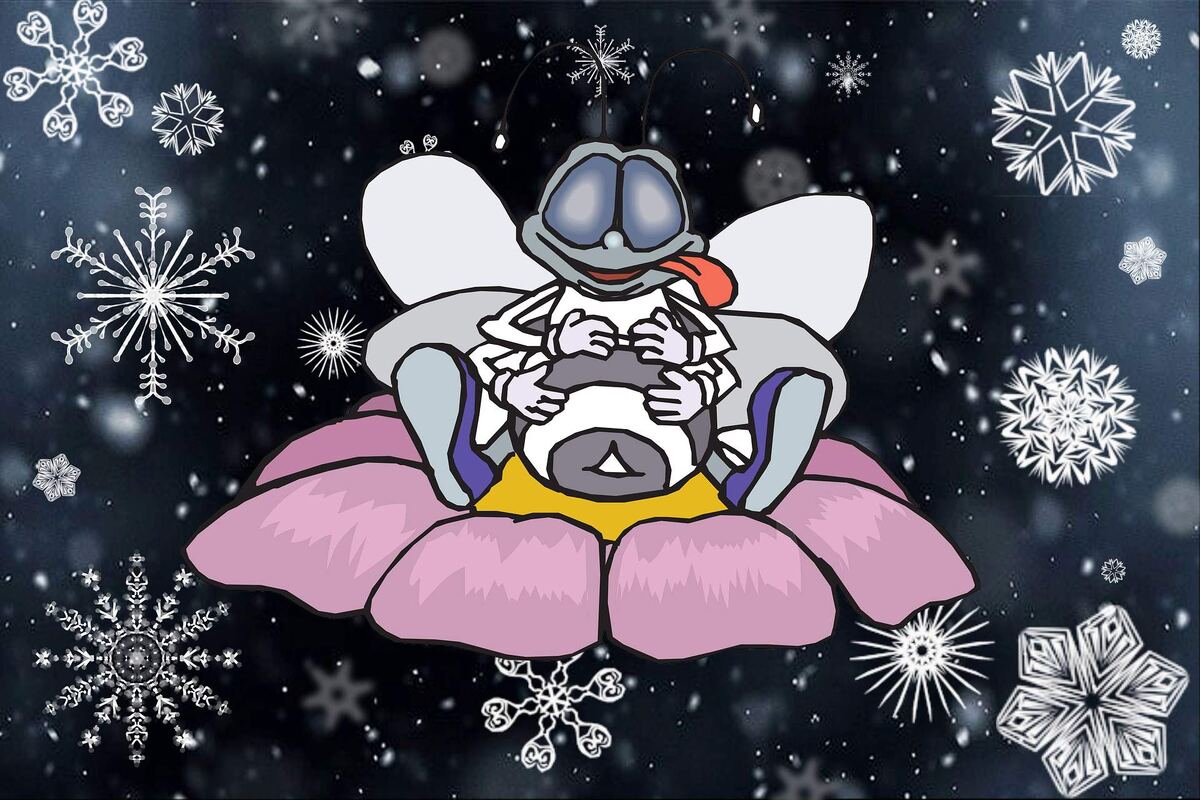 Кормить пчел зимой