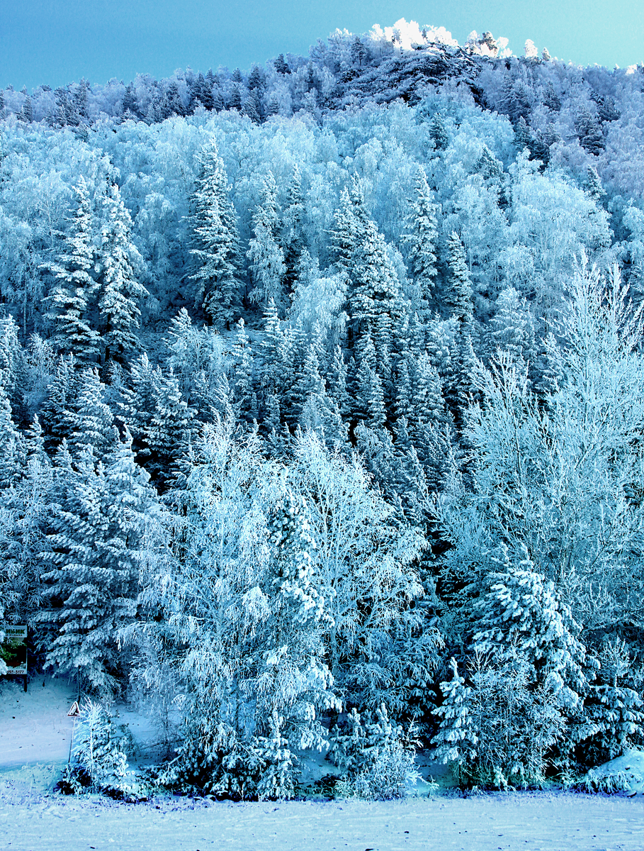 Фотография, стихотворение Василия Глуцкого
