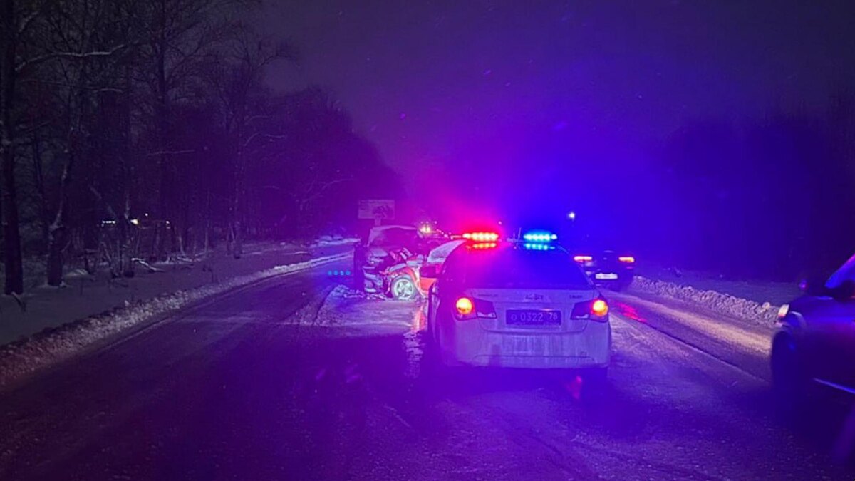    Фото: t.me/spb_police78