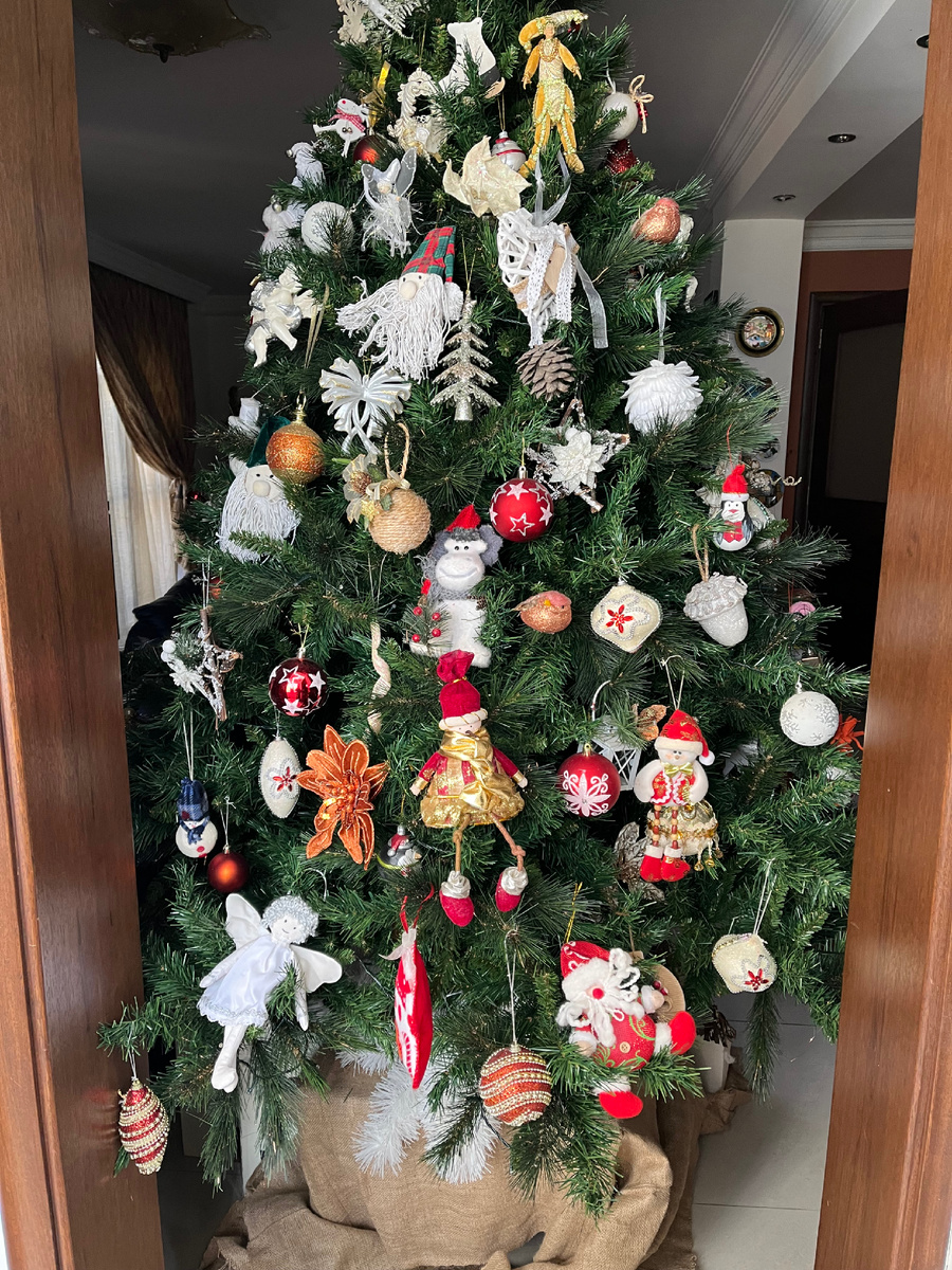 Это ёлка у другой подруги!