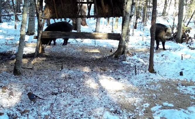    Источник фото: