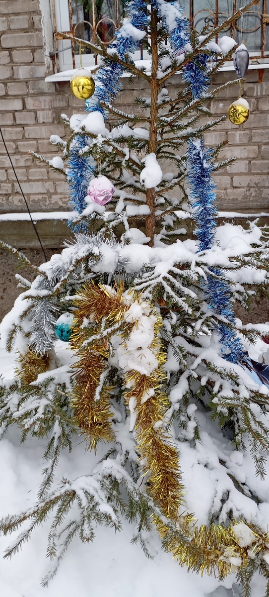 Вынес кто то красавицу. 