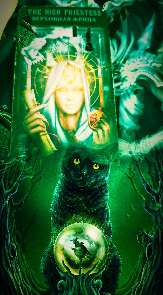 Фотоколлаж автора статьи 