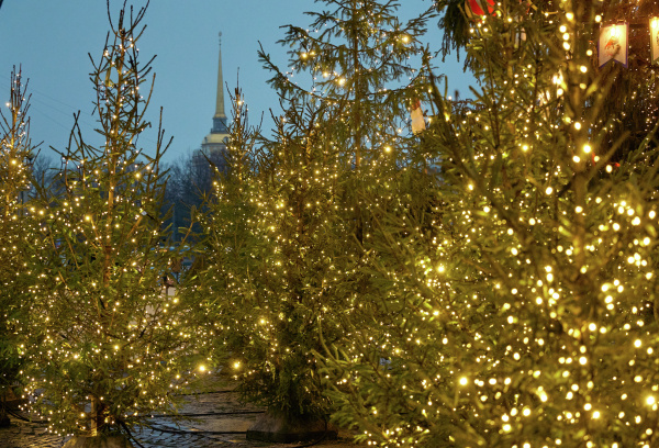 Фото: РИА Новости/Алексей Даничев