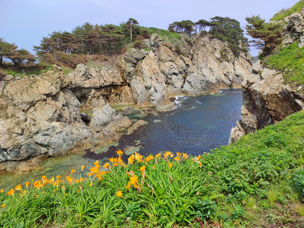 Цветение лилий на заповедных островках в бухте Орлинка (Теплая)