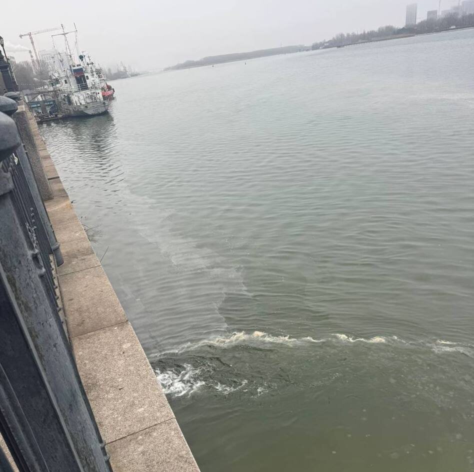    Фото: Телеграм-канал главы Ростова-на-Дону Алексея Логвиненко