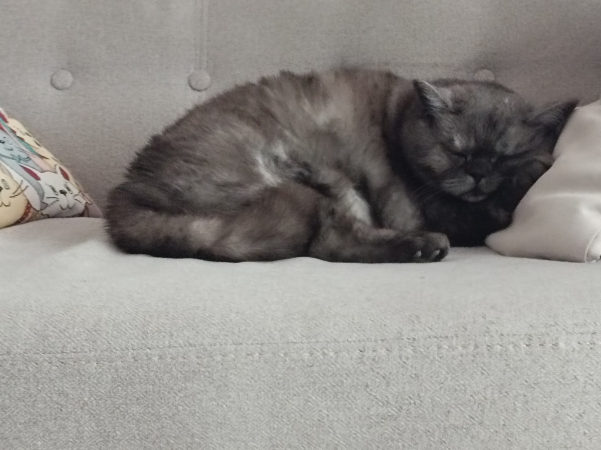 Солдат спит, служба идёт 🤣🤣🤣