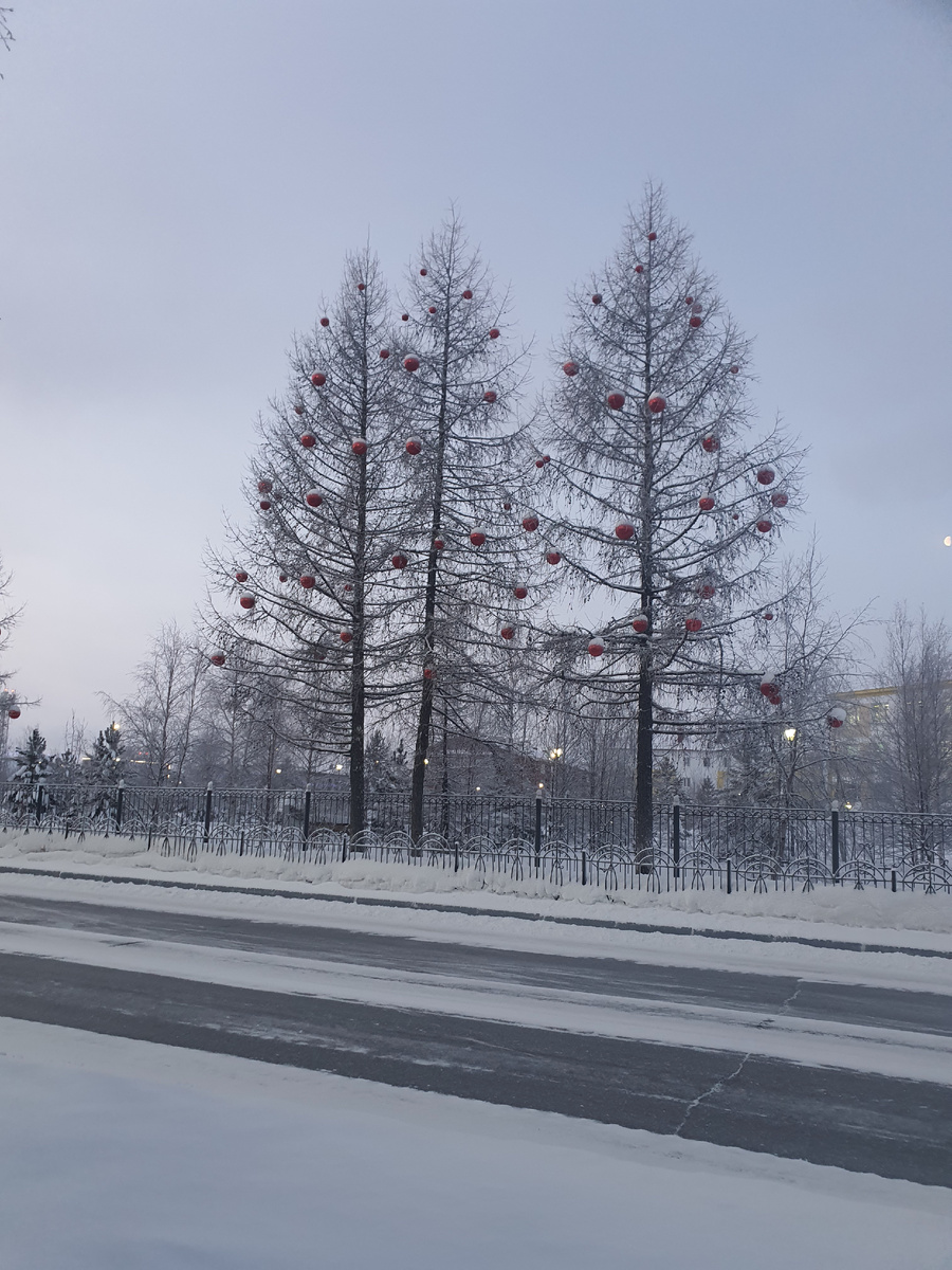 Северные виды)