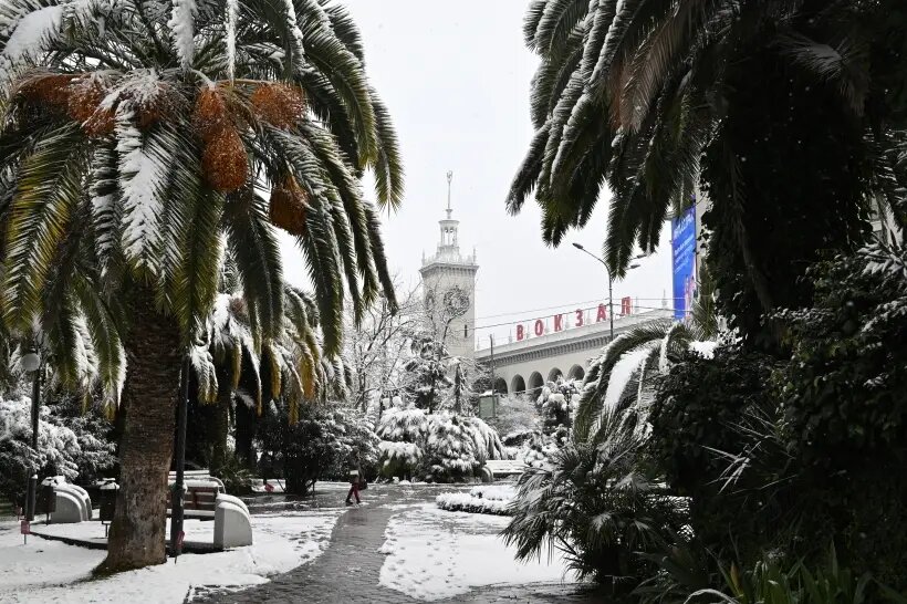     Сочи под снегом © РИА Новост. Артур Лебедев