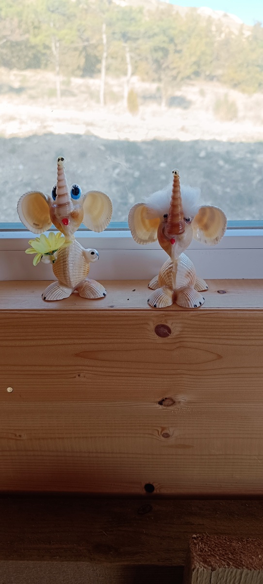 Это мы, Оля с Колей😁