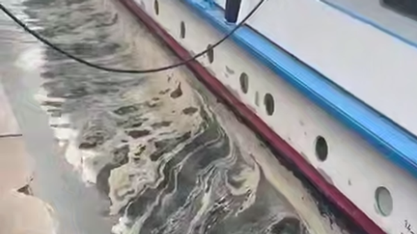    © Telegram-канал мэра Ростова-на-Дону Алексея Логвиненко