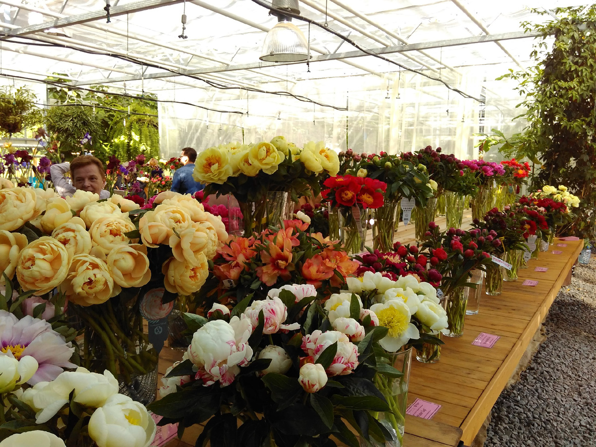 2016 г. Первая выставка.