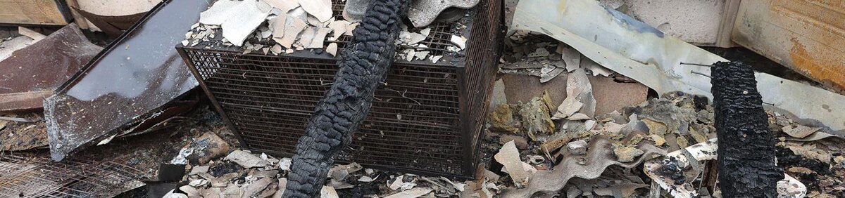    Фото: Антон Вергун