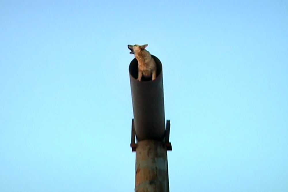    ©АО "ТВ Центр"