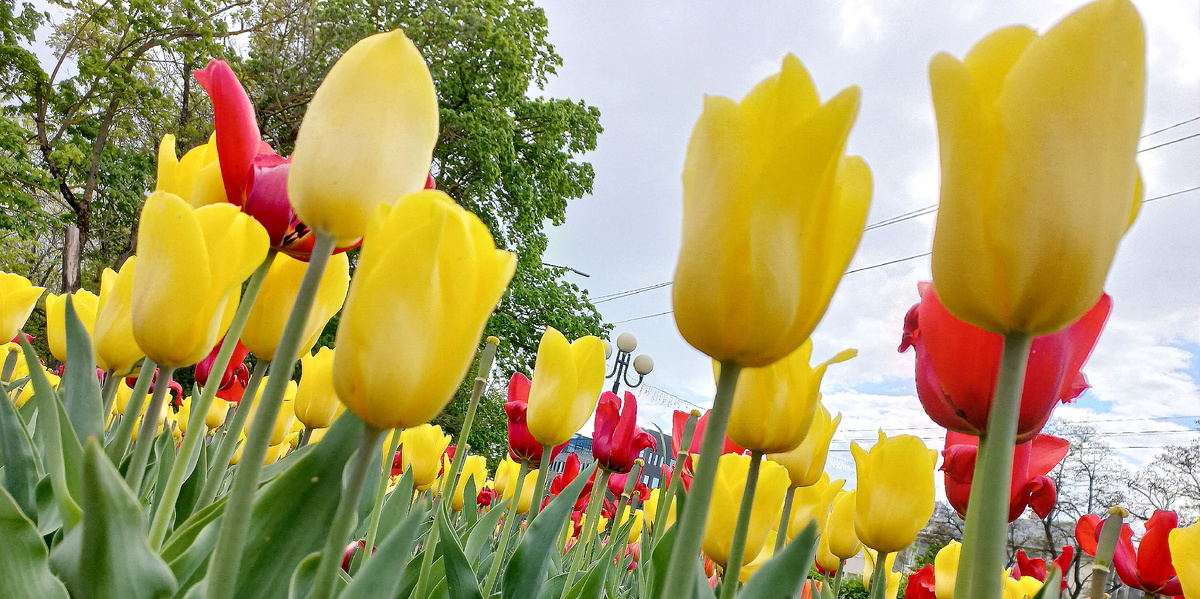 Фото автора