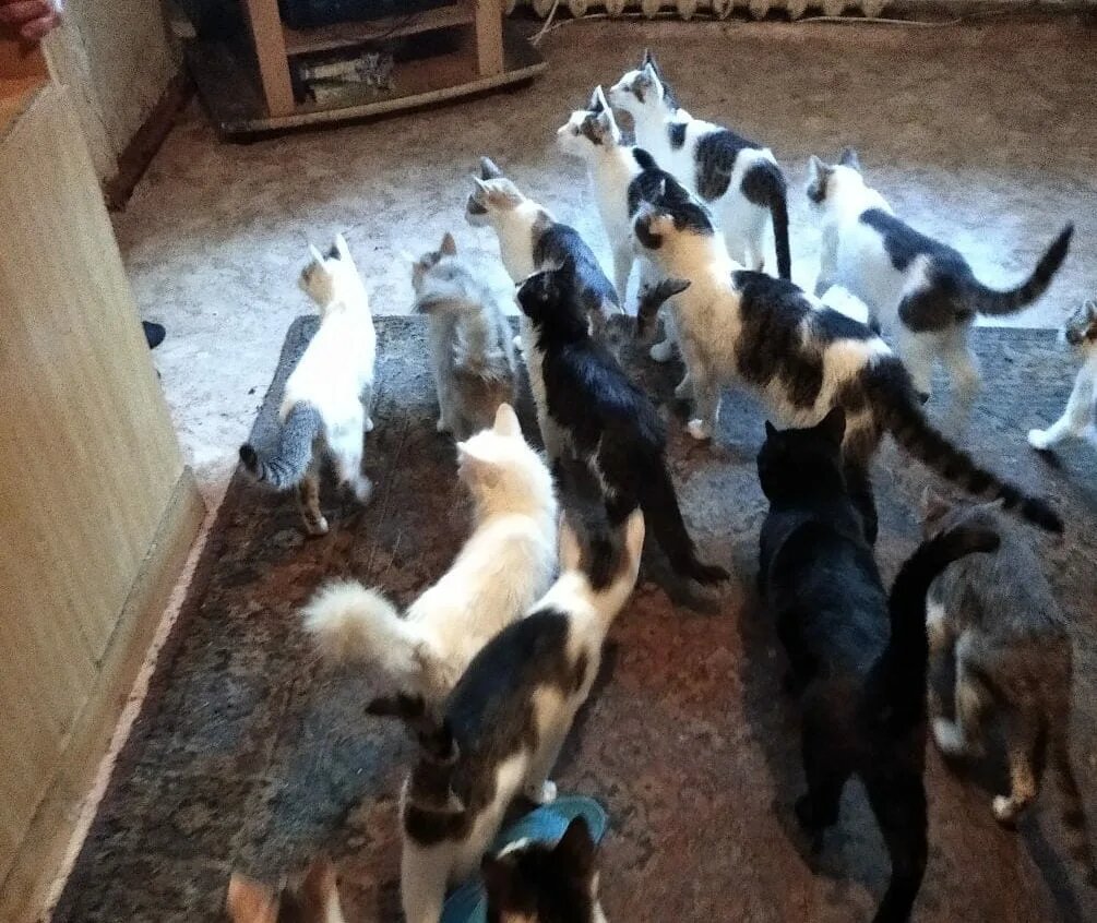 картинка из интернета