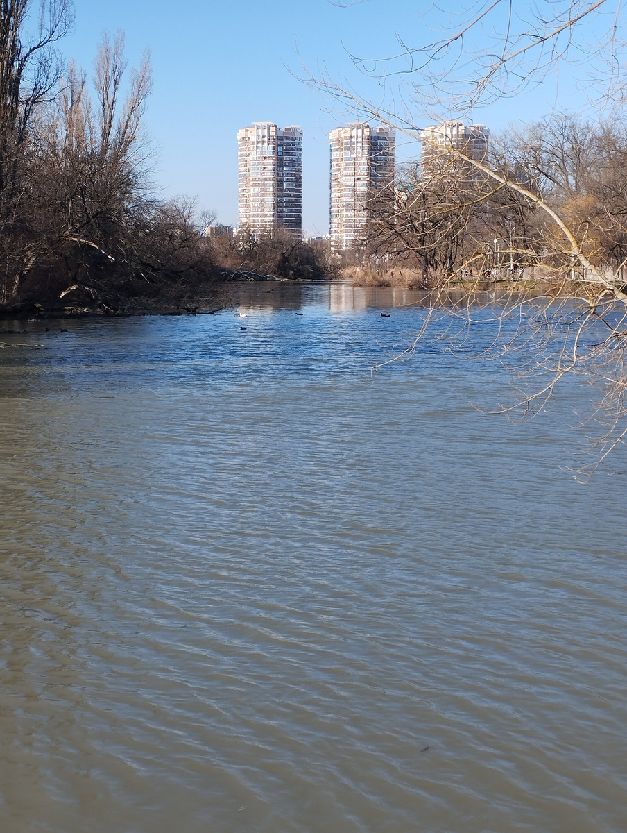 Фото 1. Вид  на водную гладь реки Старая Кубань. Вдали виднеются дома новостроек.