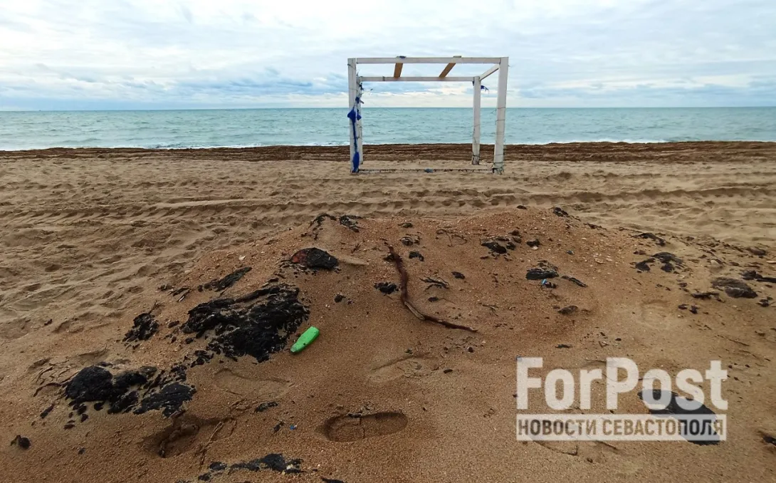 Фото: Алексей Лохвицкий / ForPost