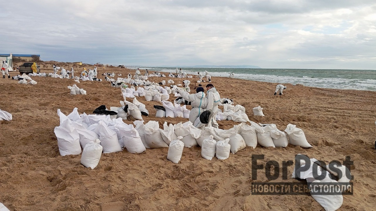 Фото: Уборка мазута на пляже в Анапе. Фото: Алексей Лохвицкий / ForPost
