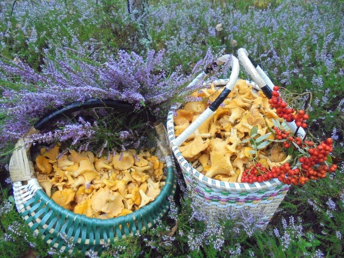 Автор фото Анна Л.