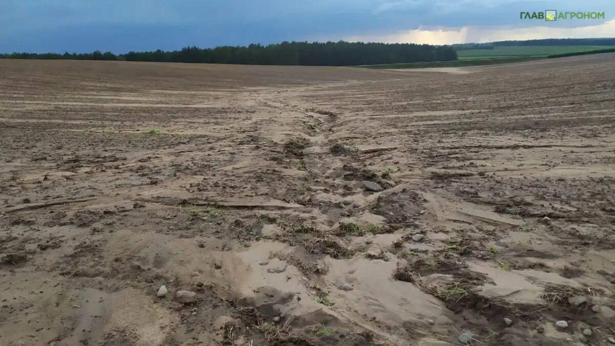 Фото: © Дмитрий Костюкевич / Glavagronom.ru Деградация земель происходит во всём мире со скоростью 1 миллион квадратных километров в год