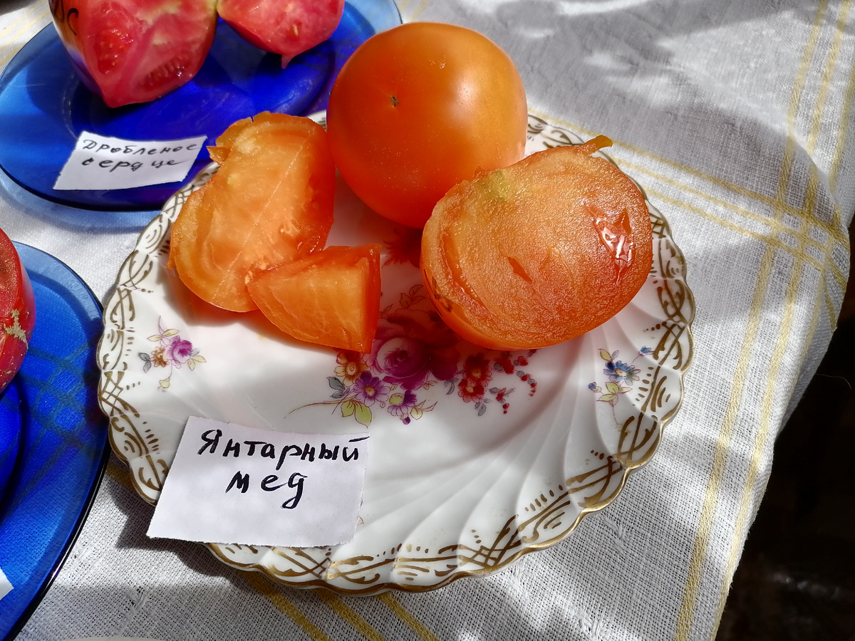 Янтарный мед в разрезе. Фото автора