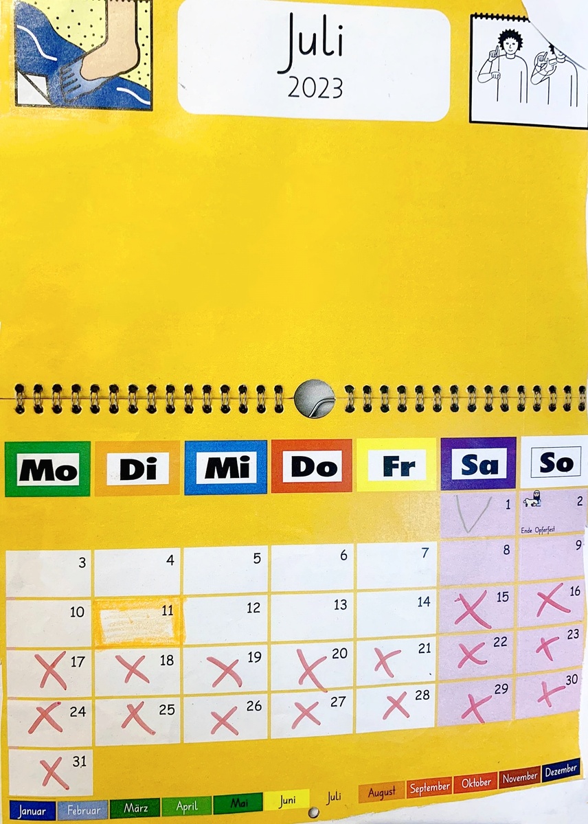 Каждый день недели обозначен своим цветом. 