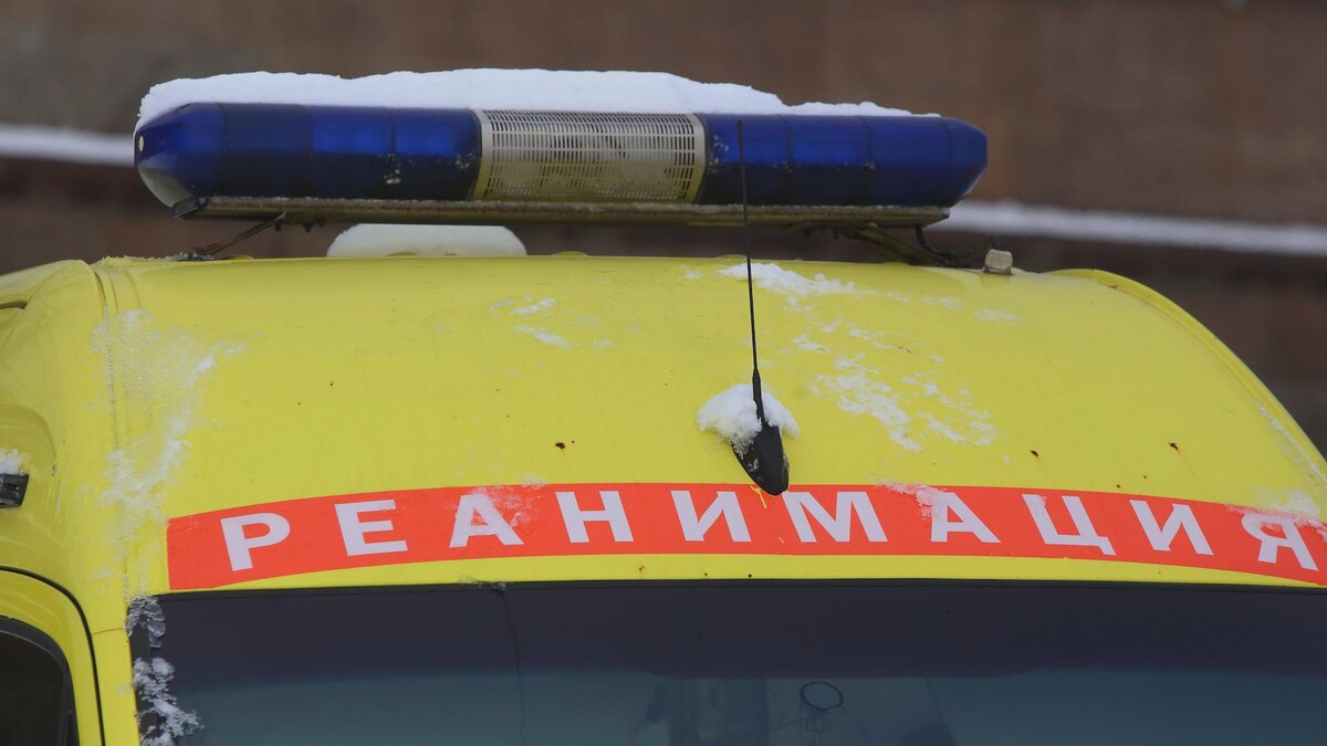    Фото: Zamir Usmanov/globallookpress.com