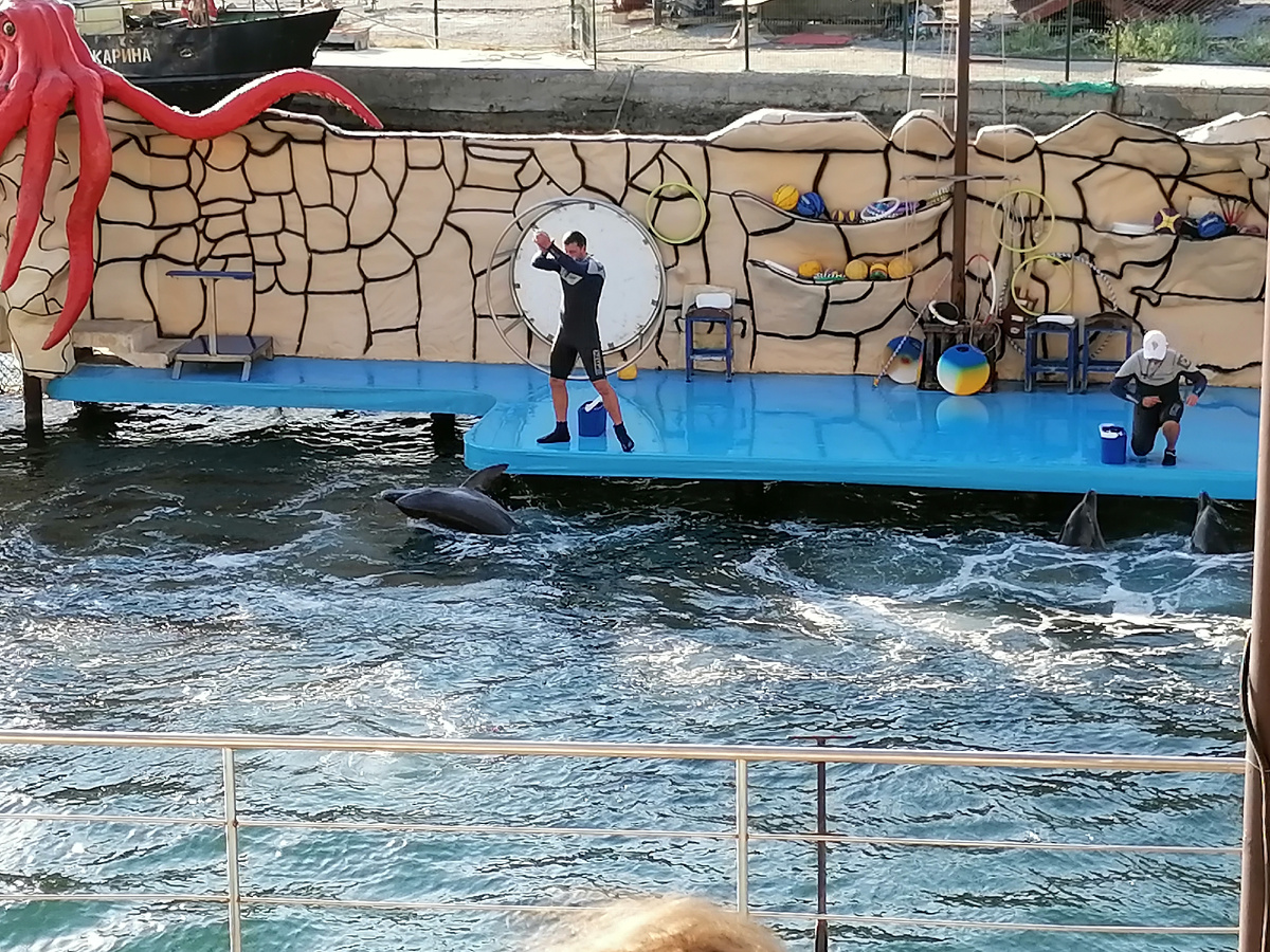 Анапский дельфинарий