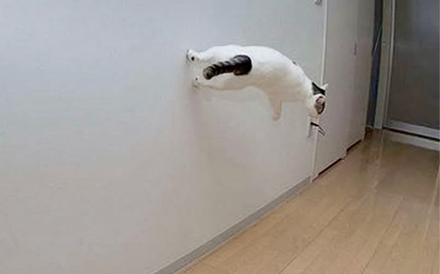 Вау! Как же здорово паркурить у себя дома! 