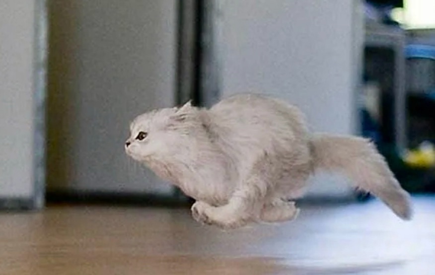 Тыгыдым тыгыдым,шабадым, байден байден ....->->->